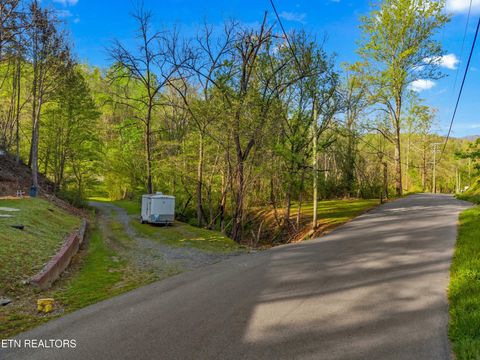 Photo of 264 Beech Branch Rd, Gatlinburg, TN 37738 (MLS # 1338311)