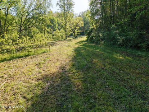 Tiny photo for 264 Beech Branch Rd, Gatlinburg, TN 37738 (MLS # 1338311)