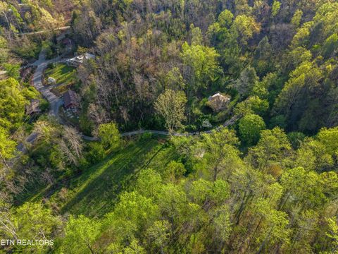 Tiny photo for 264 Beech Branch Rd, Gatlinburg, TN 37738 (MLS # 1338311)