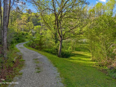 Tiny photo for 264 Beech Branch Rd, Gatlinburg, TN 37738 (MLS # 1338311)
