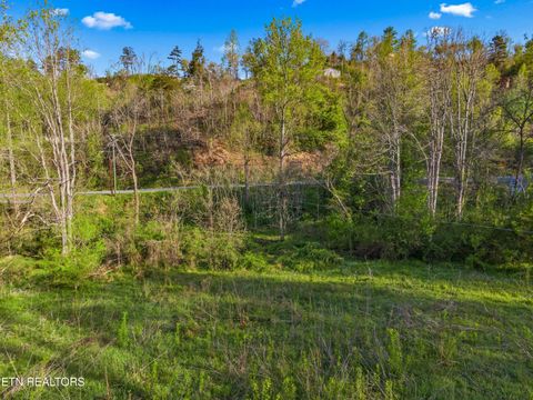Tiny photo for 264 Beech Branch Rd, Gatlinburg, TN 37738 (MLS # 1338311)
