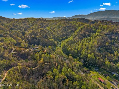 Tiny photo for 264 Beech Branch Rd, Gatlinburg, TN 37738 (MLS # 1338311)