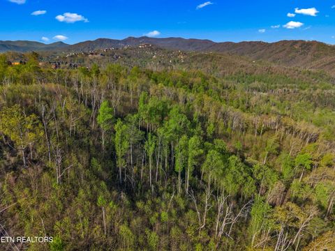 Tiny photo for 264 Beech Branch Rd, Gatlinburg, TN 37738 (MLS # 1338311)