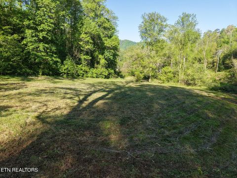 Tiny photo for 264 Beech Branch Rd, Gatlinburg, TN 37738 (MLS # 1338311)