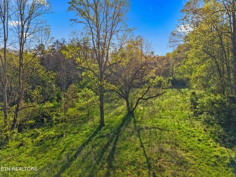 Tiny photo for 264 Beech Branch Rd, Gatlinburg, TN 37738 (MLS # 1338311)