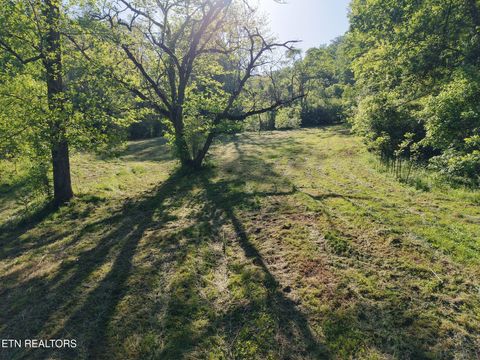 Tiny photo for 264 Beech Branch Rd, Gatlinburg, TN 37738 (MLS # 1338311)