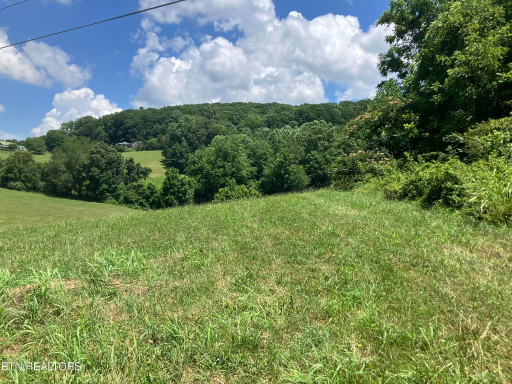 Photo of Harmon Rd, New Tazewell, TN 37825 (MLS # 1308626)