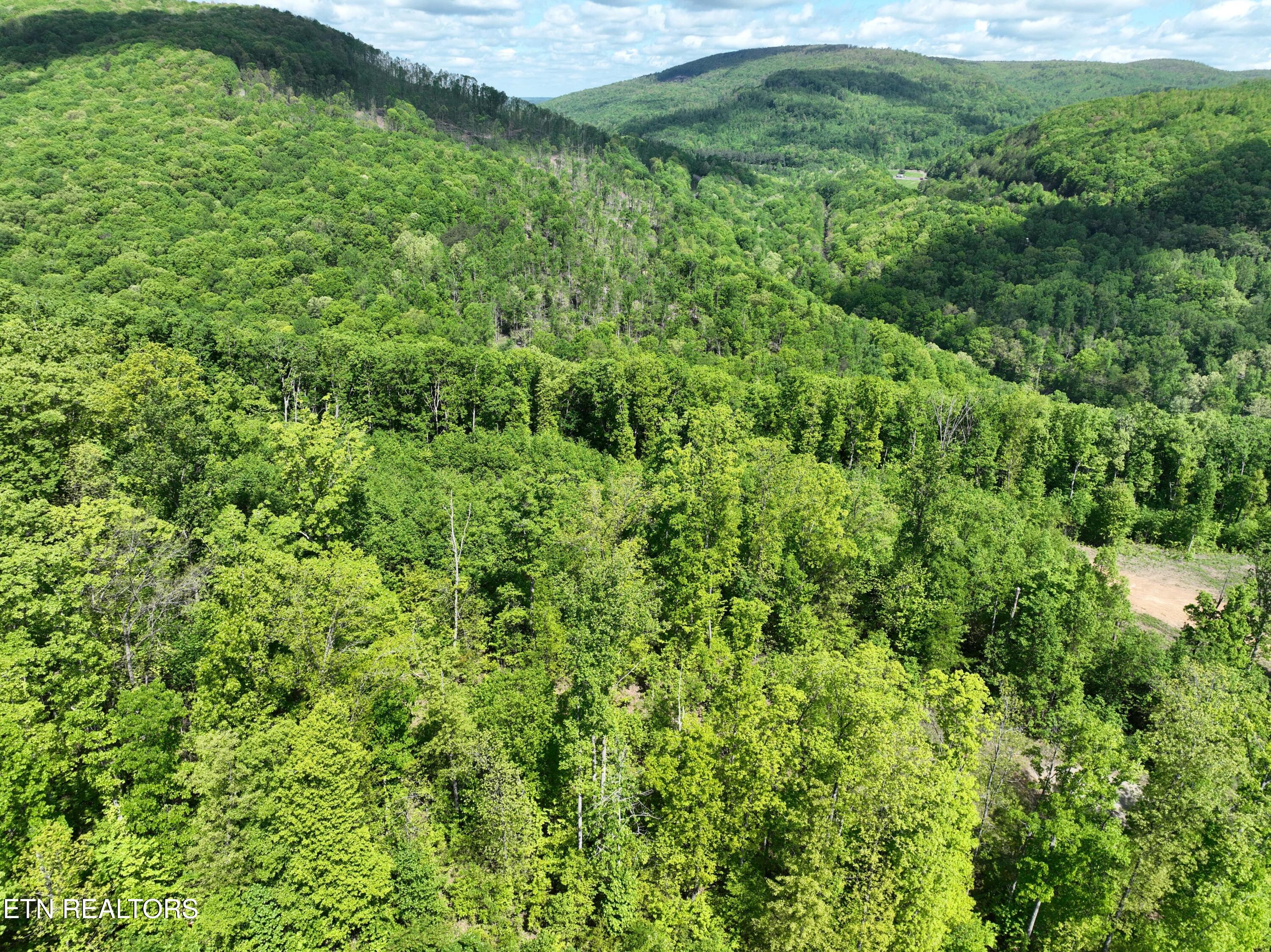 Lot 7 Lower Eagles Nest Rd