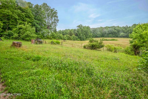 Tiny photo for 555 Little Valley Rd, Maynardville, TN 37807 (MLS # 1343125)