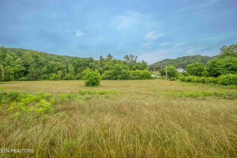 Tiny photo for 555 Little Valley Rd, Maynardville, TN 37807 (MLS # 1343125)