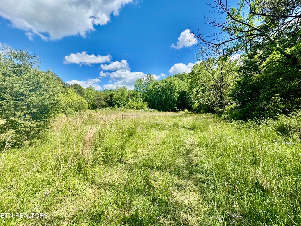 Photo of E Bullrun Valley Drive, Heiskell, TN 37754 (MLS # 1301144)