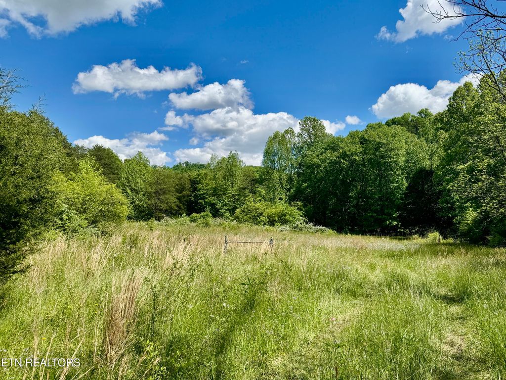 Photo of E Bullrun Valley Drive, Heiskell, TN 37754 (MLS # 1301144)