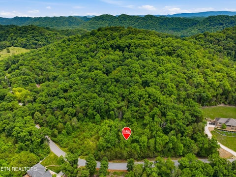 Tiny photo for 110 Eagles Ridge, Tazewell, TN 37879 (MLS # 1343184)
