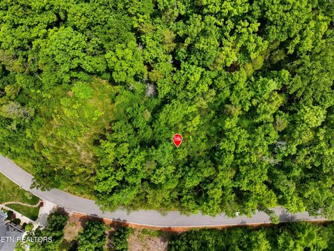 Tiny photo for 110 Eagles Ridge, Tazewell, TN 37879 (MLS # 1343184)