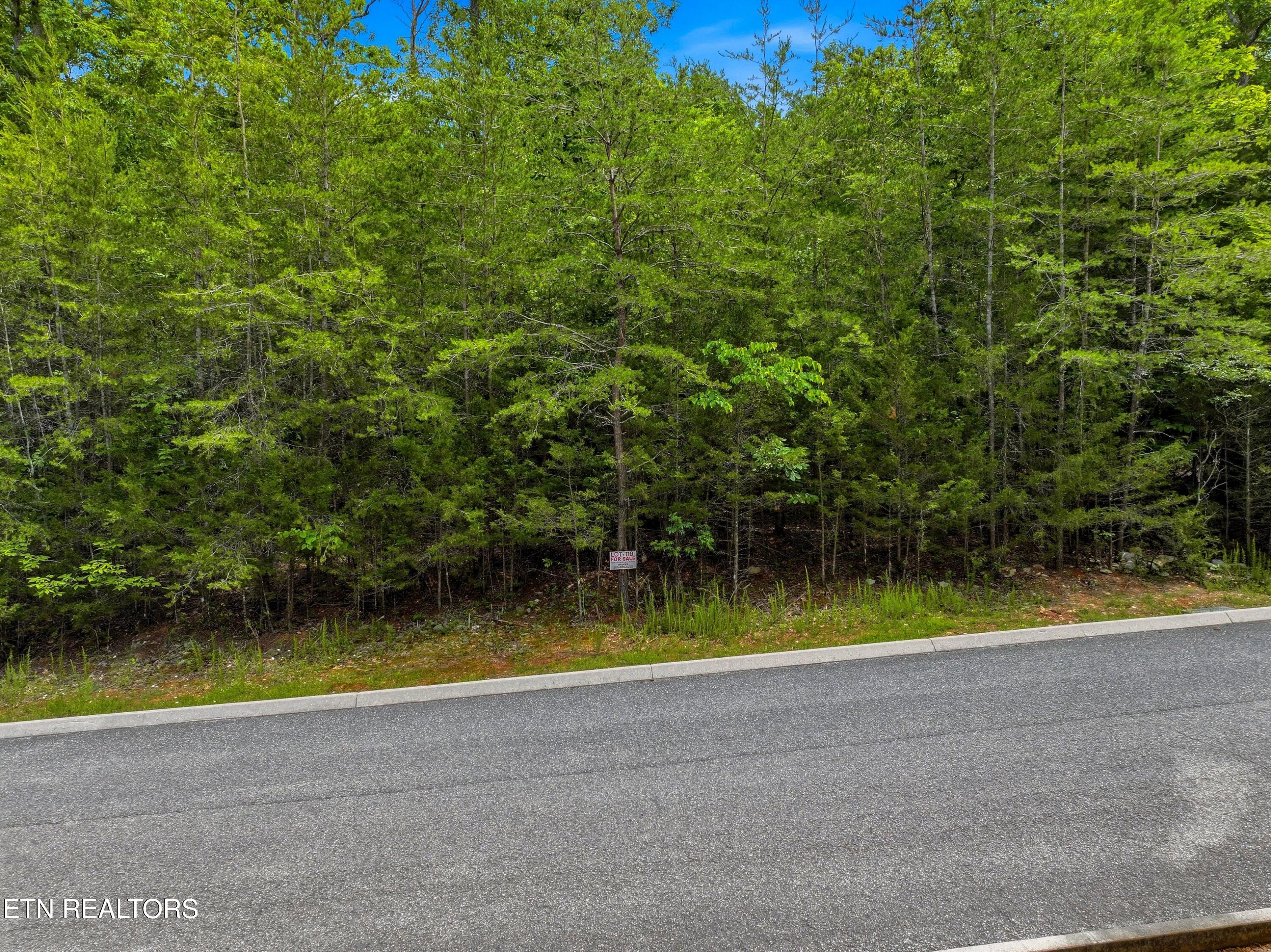 Lot 110 Eagles Ridge