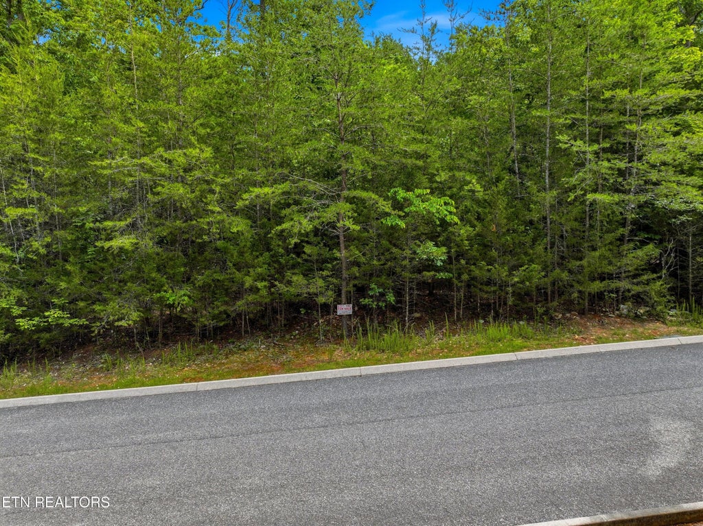 Photo of 110 Eagles Ridge, Tazewell, TN 37879 (MLS # 1343184)