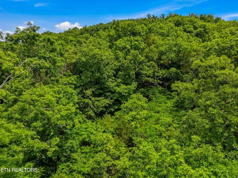 Tiny photo for 110 Eagles Ridge, Tazewell, TN 37879 (MLS # 1343184)