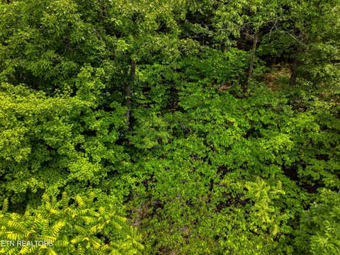 Tiny photo for 110 Eagles Ridge, Tazewell, TN 37879 (MLS # 1343184)