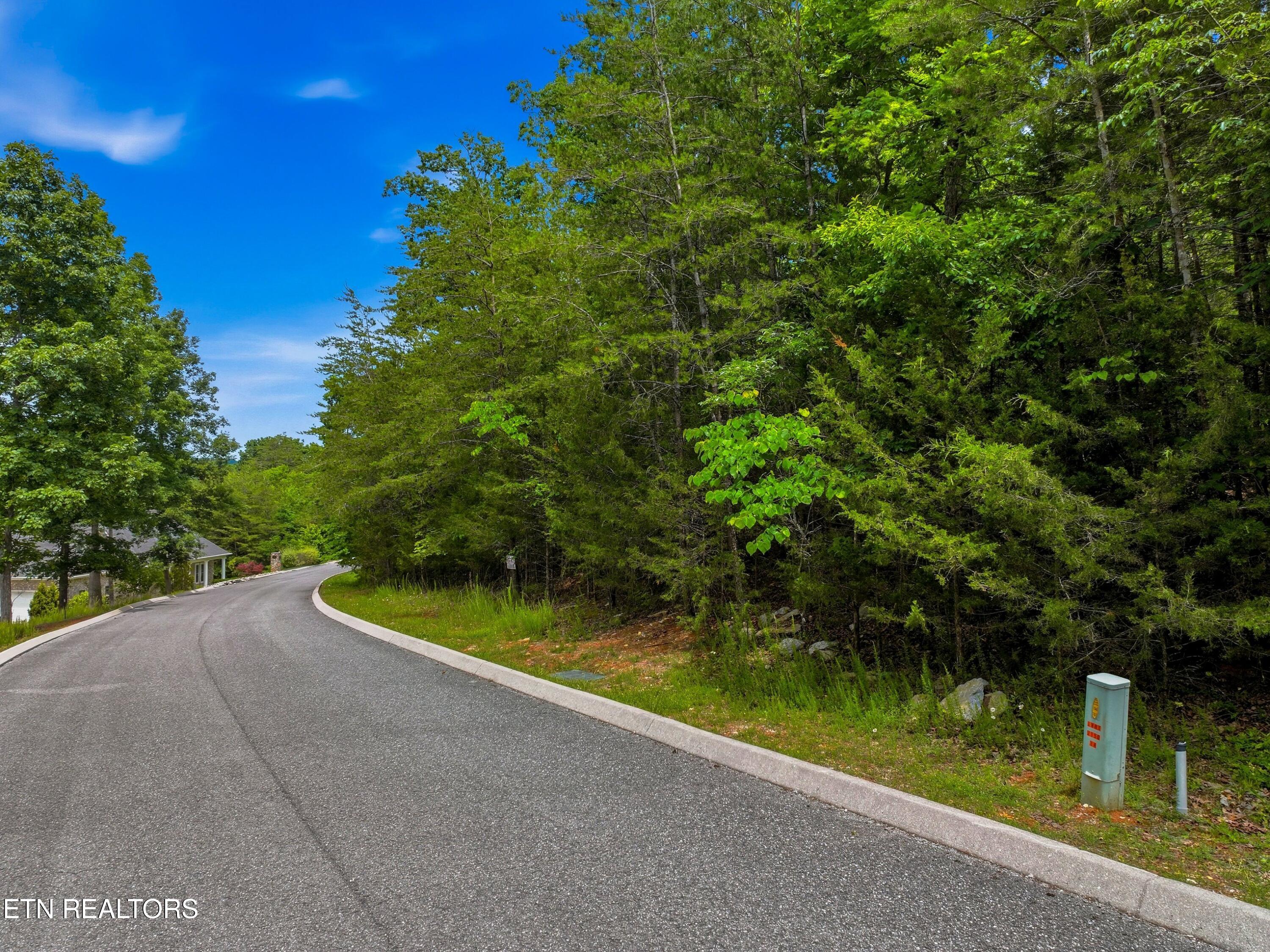 Lot 110 Eagles Ridge