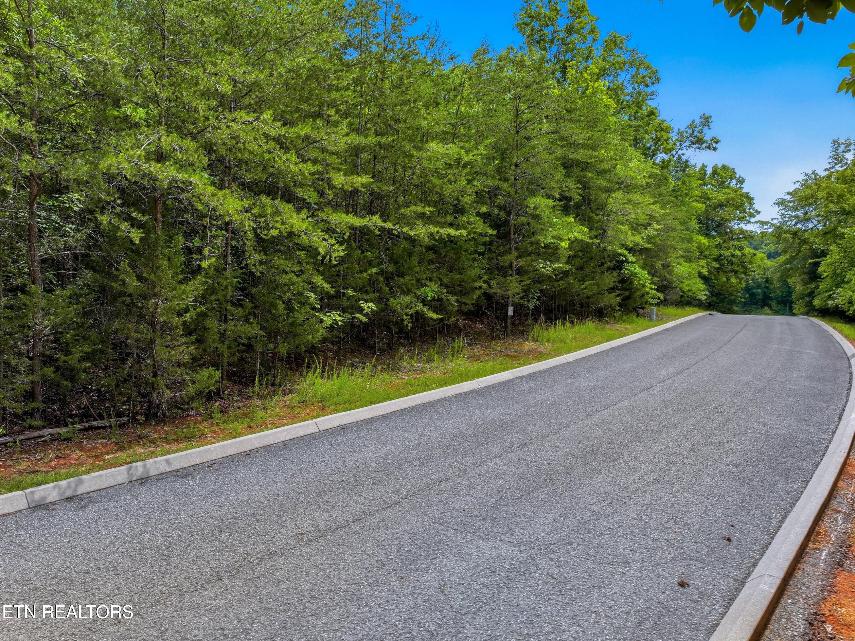 Lot 110 Eagles Ridge