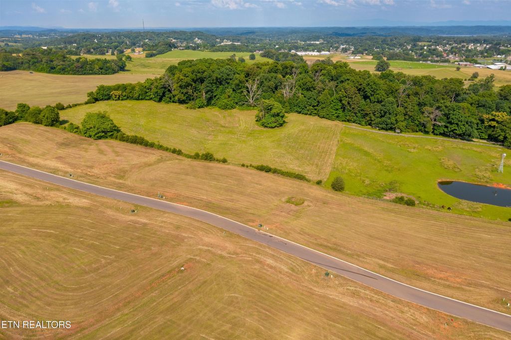 Photo of 39 Meadow Vista Way, White Pine, TN 37890 (MLS # 1311831)