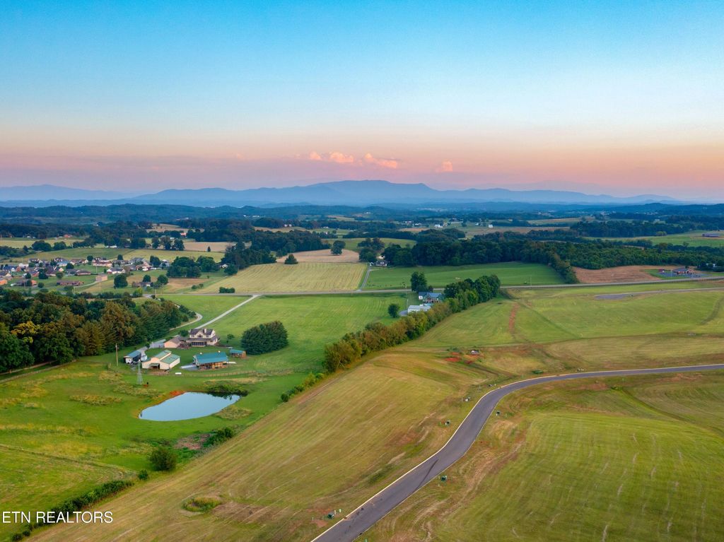 Photo of 39 Meadow Vista Way, White Pine, TN 37890 (MLS # 1311831)