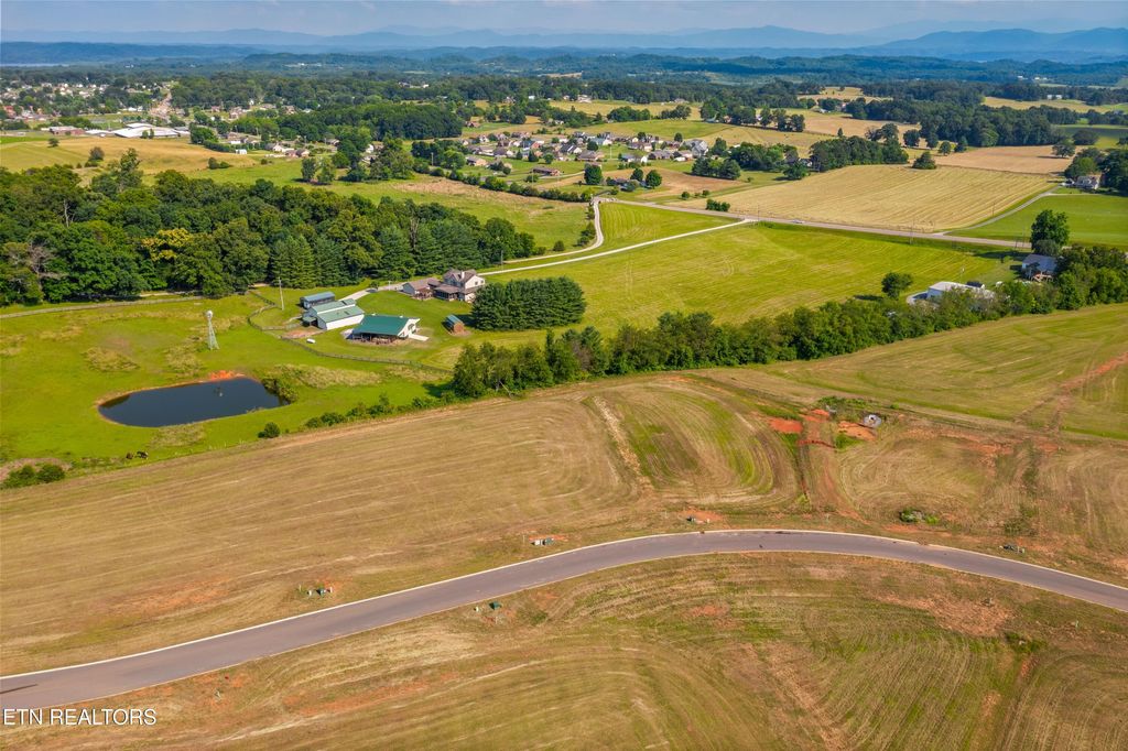 Photo of 39 Meadow Vista Way, White Pine, TN 37890 (MLS # 1311831)