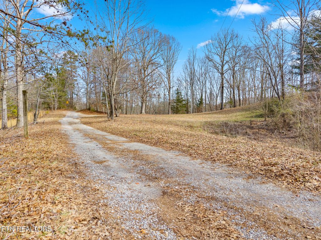 Photo of 448 County Road 188, Decatur, TN 37322 (MLS # 1329706)