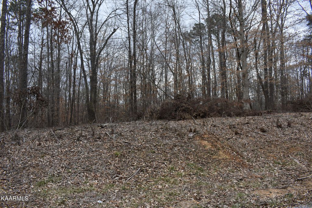 Photo of 10 Jones Ridge Rd, Speedwell, TN 37870 (MLS # 1220814)