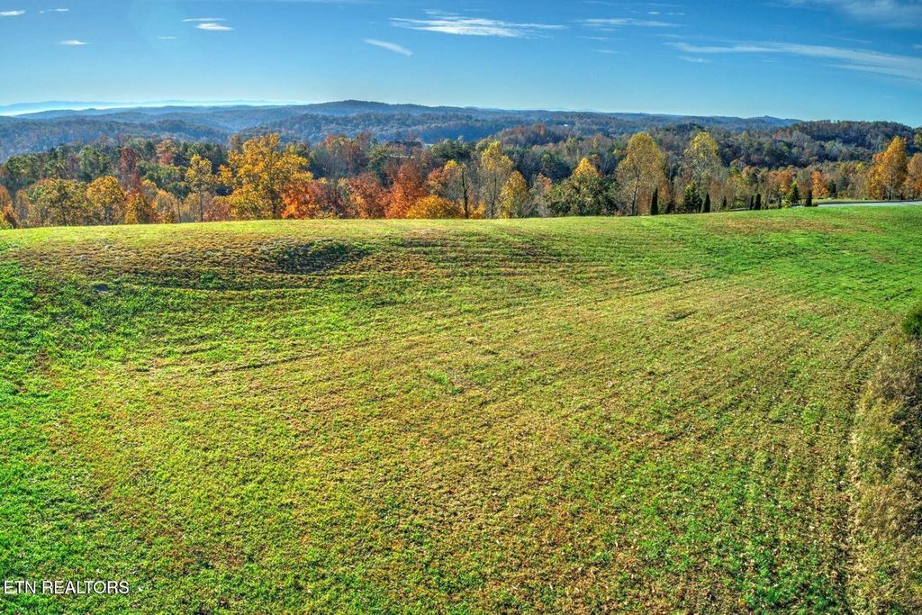 Photo of 131 Highland Reserve Way, Kingston, TN 37763 (MLS # 1329127)