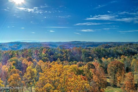 Tiny photo for 131 Highland Reserve Way, Kingston, TN 37763 (MLS # 1329127)