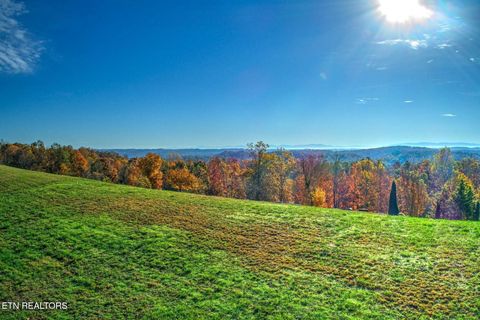 Photo of 131 Highland Reserve Way, Kingston, TN 37763 (MLS # 1329127)