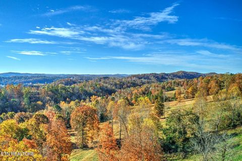 Tiny photo for 131 Highland Reserve Way, Kingston, TN 37763 (MLS # 1329127)