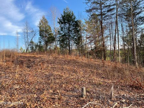 Tiny photo for 69 Three Point Rd, Madisonville, TN 37354 (MLS # 1325765)