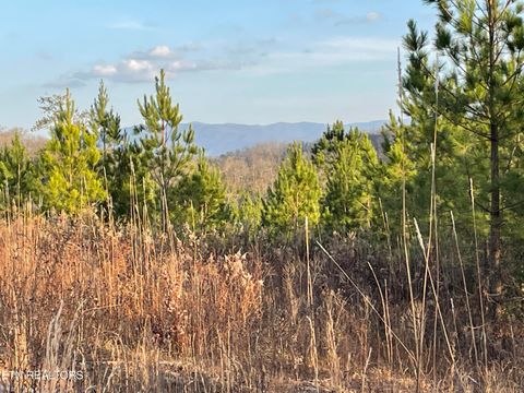 Tiny photo for 69 Three Point Rd, Madisonville, TN 37354 (MLS # 1325765)