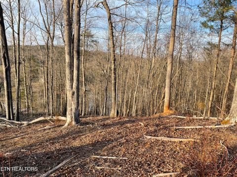 Tiny photo for 69 Three Point Rd, Madisonville, TN 37354 (MLS # 1325765)
