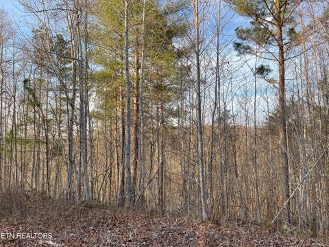 Tiny photo for 69 Three Point Rd, Madisonville, TN 37354 (MLS # 1325765)