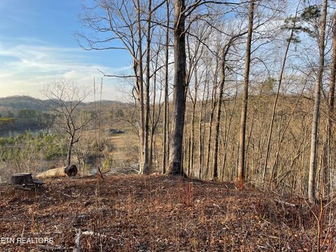 Tiny photo for 69 Three Point Rd, Madisonville, TN 37354 (MLS # 1325765)