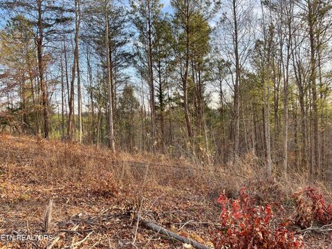 Tiny photo for 69 Three Point Rd, Madisonville, TN 37354 (MLS # 1325765)