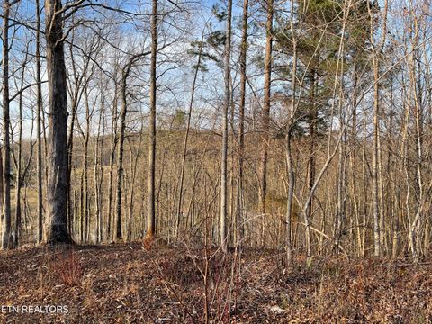 Tiny photo for 69 Three Point Rd, Madisonville, TN 37354 (MLS # 1325765)