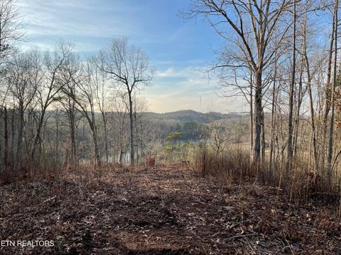 Tiny photo for 69 Three Point Rd, Madisonville, TN 37354 (MLS # 1325765)