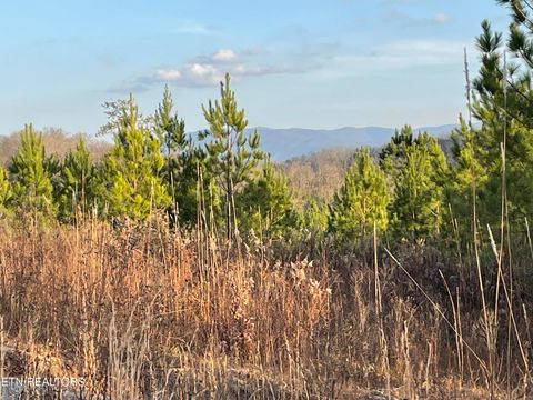 Tiny photo for 69 Three Point Rd, Madisonville, TN 37354 (MLS # 1325765)