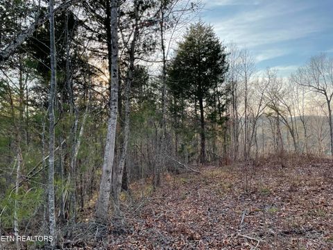 Tiny photo for 69 Three Point Rd, Madisonville, TN 37354 (MLS # 1325765)