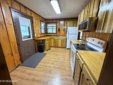 Tiny photo for 1059 Blue Mill Rd, Del Rio, TN 37727 (MLS # 1333754)