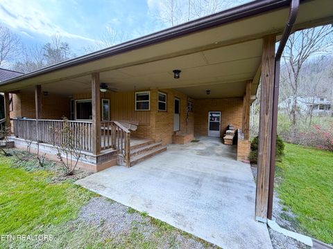 Tiny photo for 1059 Blue Mill Rd, Del Rio, TN 37727 (MLS # 1333754)