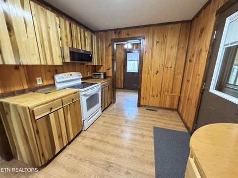 Tiny photo for 1059 Blue Mill Rd, Del Rio, TN 37727 (MLS # 1333754)