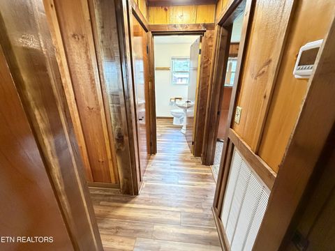 Tiny photo for 1059 Blue Mill Rd, Del Rio, TN 37727 (MLS # 1333754)