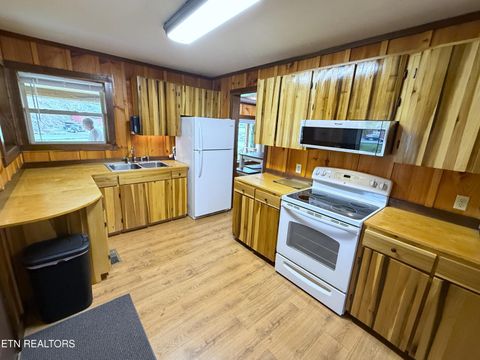 Tiny photo for 1059 Blue Mill Rd, Del Rio, TN 37727 (MLS # 1333754)