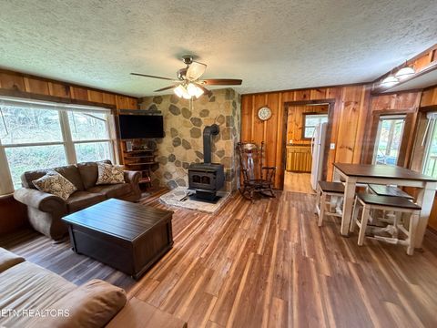 Tiny photo for 1059 Blue Mill Rd, Del Rio, TN 37727 (MLS # 1333754)