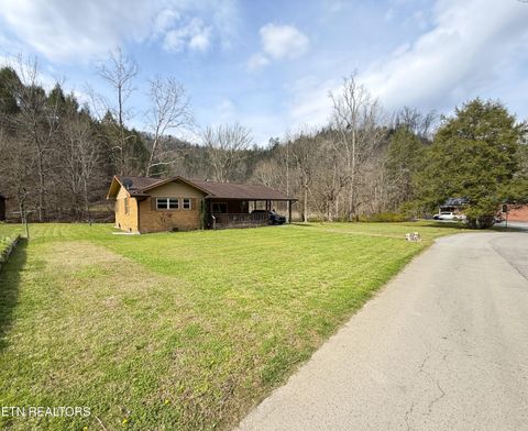 Tiny photo for 1059 Blue Mill Rd, Del Rio, TN 37727 (MLS # 1333754)